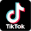 favicon Download Video TikTok