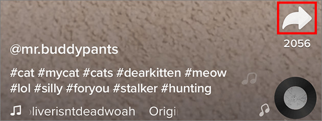 cach-sao-chep-lien-ket-tiktok-tang-follow