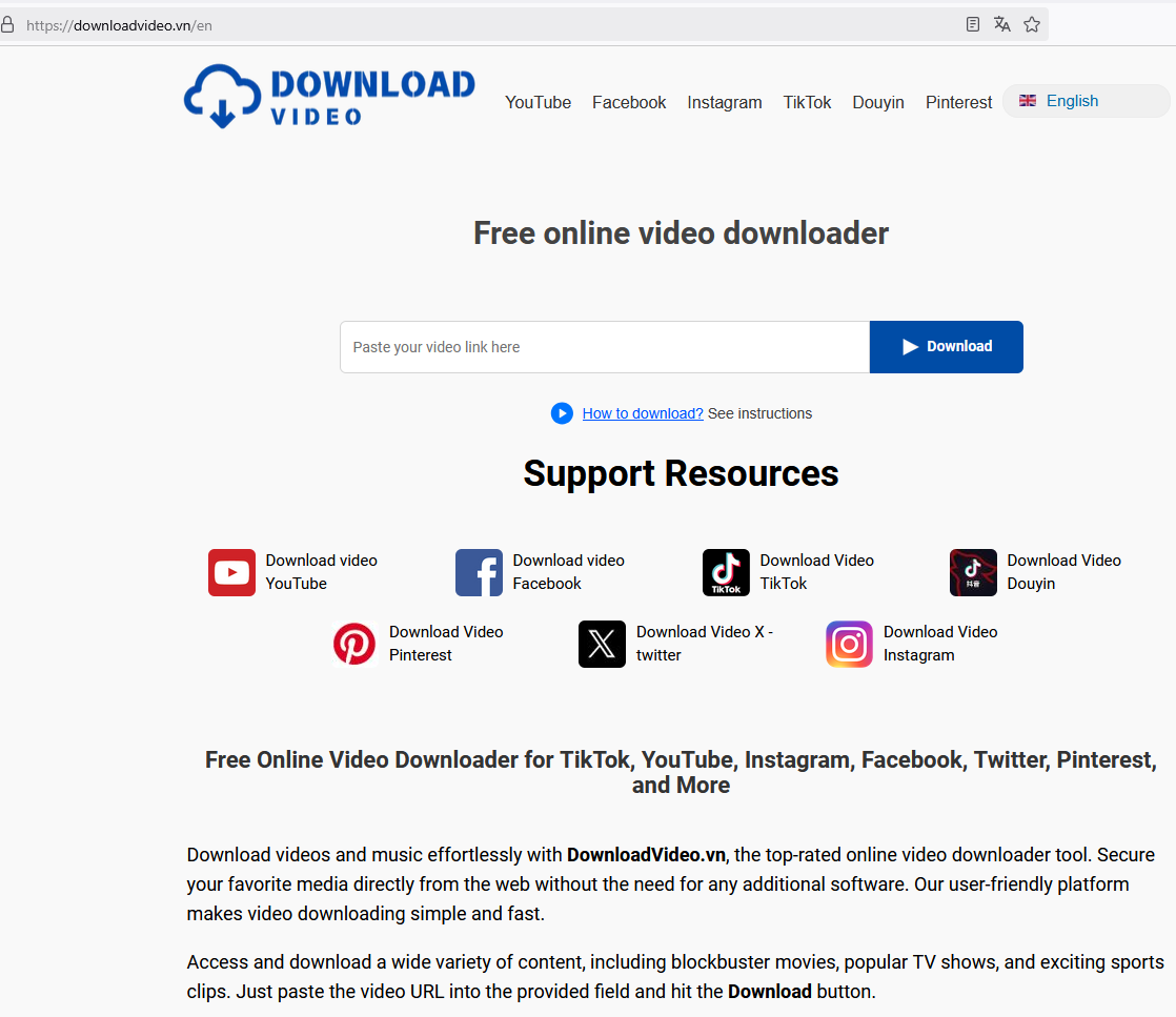 Best Online Video Downloaders in 2025