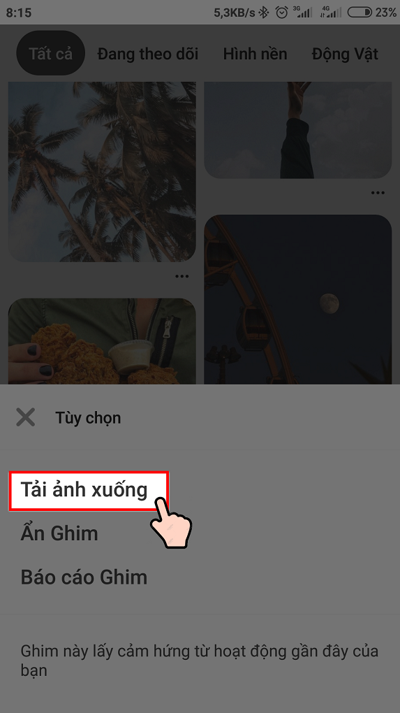 Cách Tải Ảnh Pinterest Về Điện Thoại và Máy Tính Nhanh Chóng, Đơn Giản