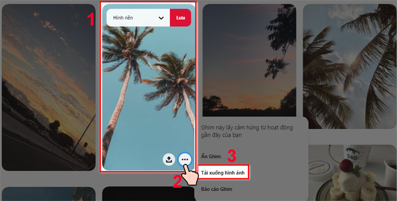 Cách Tải Ảnh Pinterest Về Điện Thoại và Máy Tính Nhanh Chóng, Đơn Giản