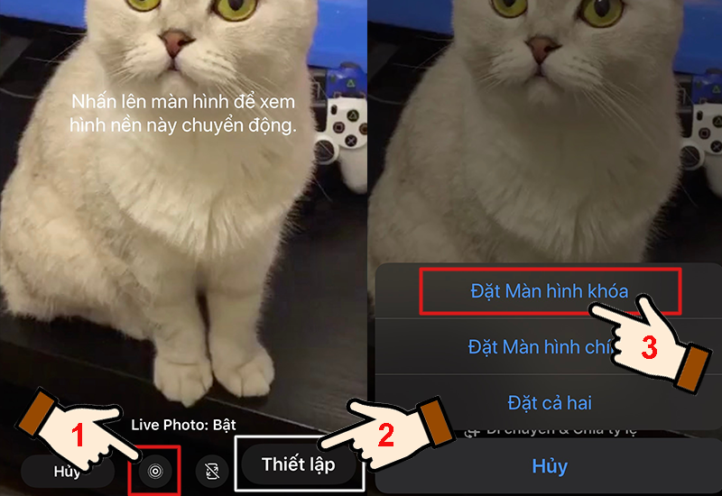 Cách Thực Hiện Đặt Video TikTok Làm Hình Nền Cho Điện Thoại Cực Kỳ Đơn Giản