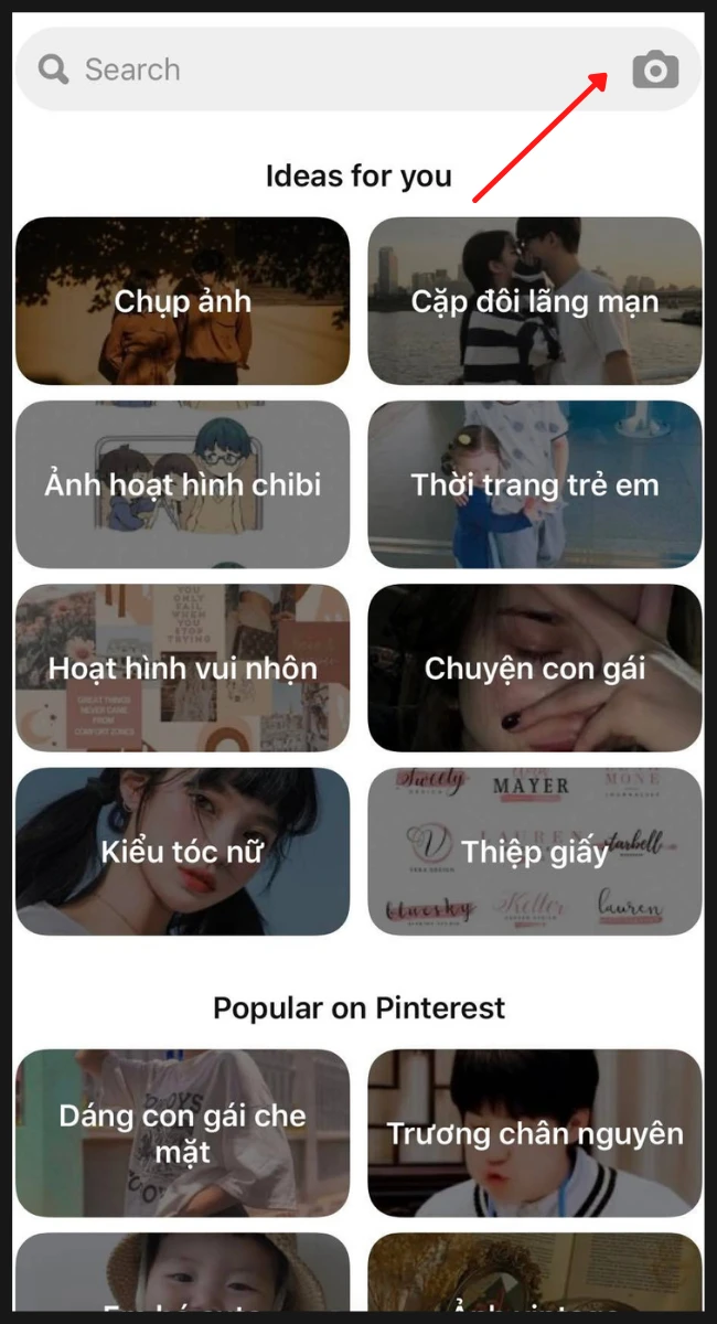 Cách Tìm Ý Tưởng Độc Đáo Trên Pinterest & Trình Tải Xuống Video Pinterest
