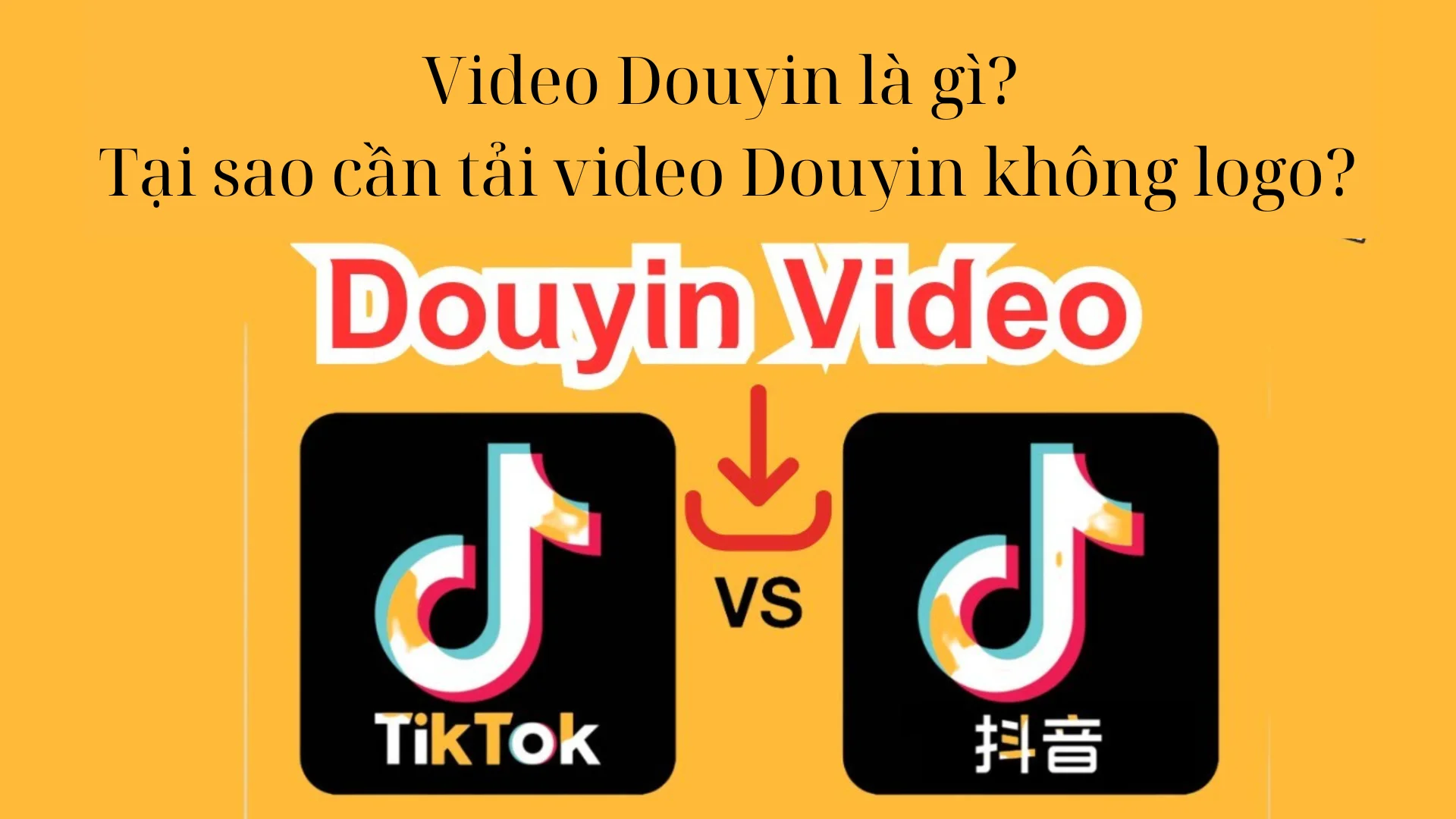 Cách tải video không logo từ TikTok, Douyin, Instagram cực nhanh