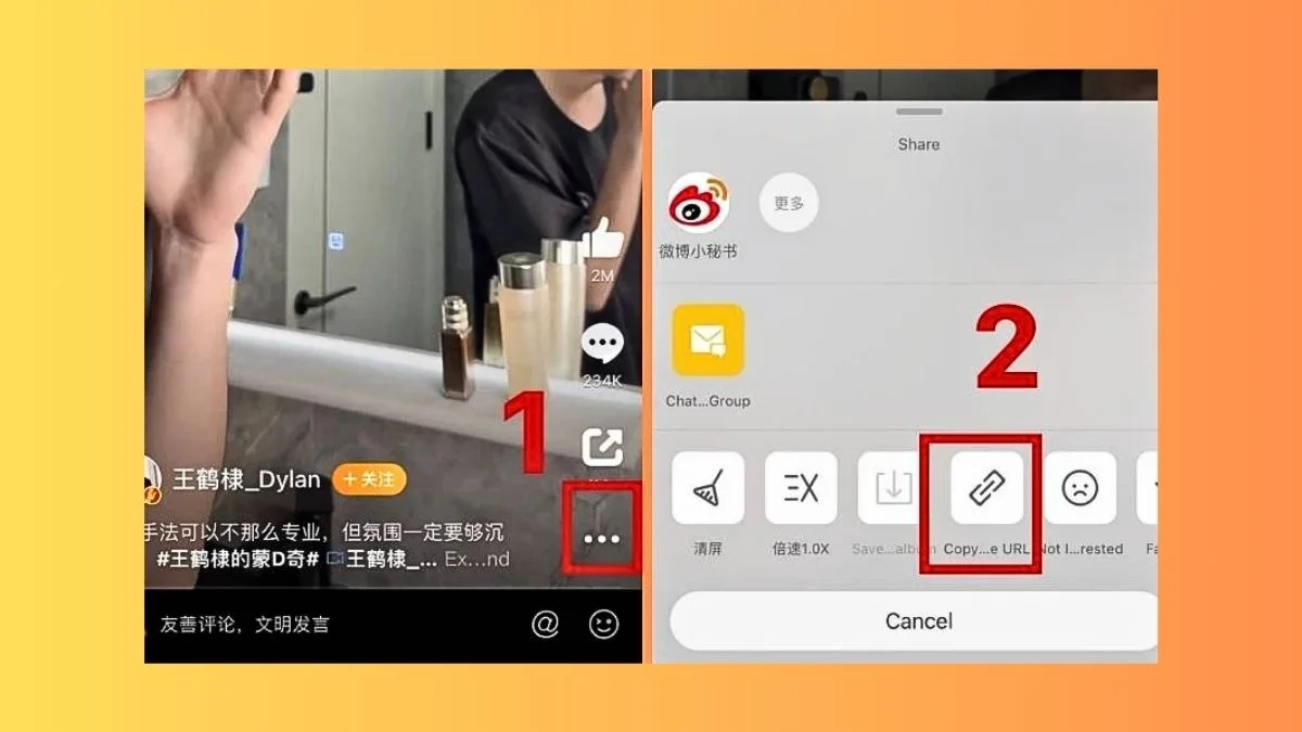 Weibo Video Downloader – Download Weibo Videos in HD Free 2025