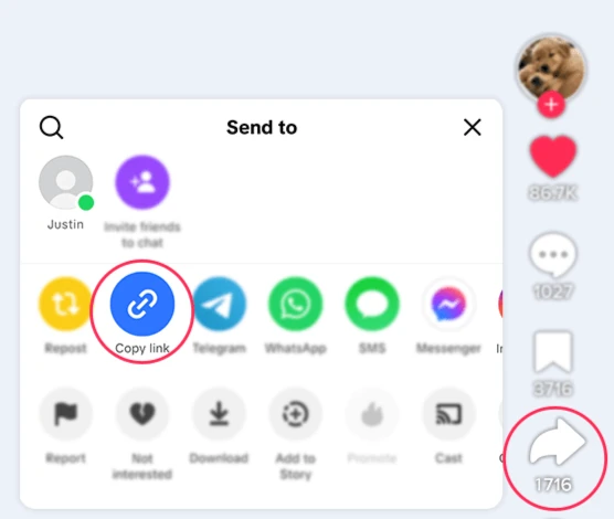 Tải video TikTok không logo miễn phí | TikTok Downloader 2025