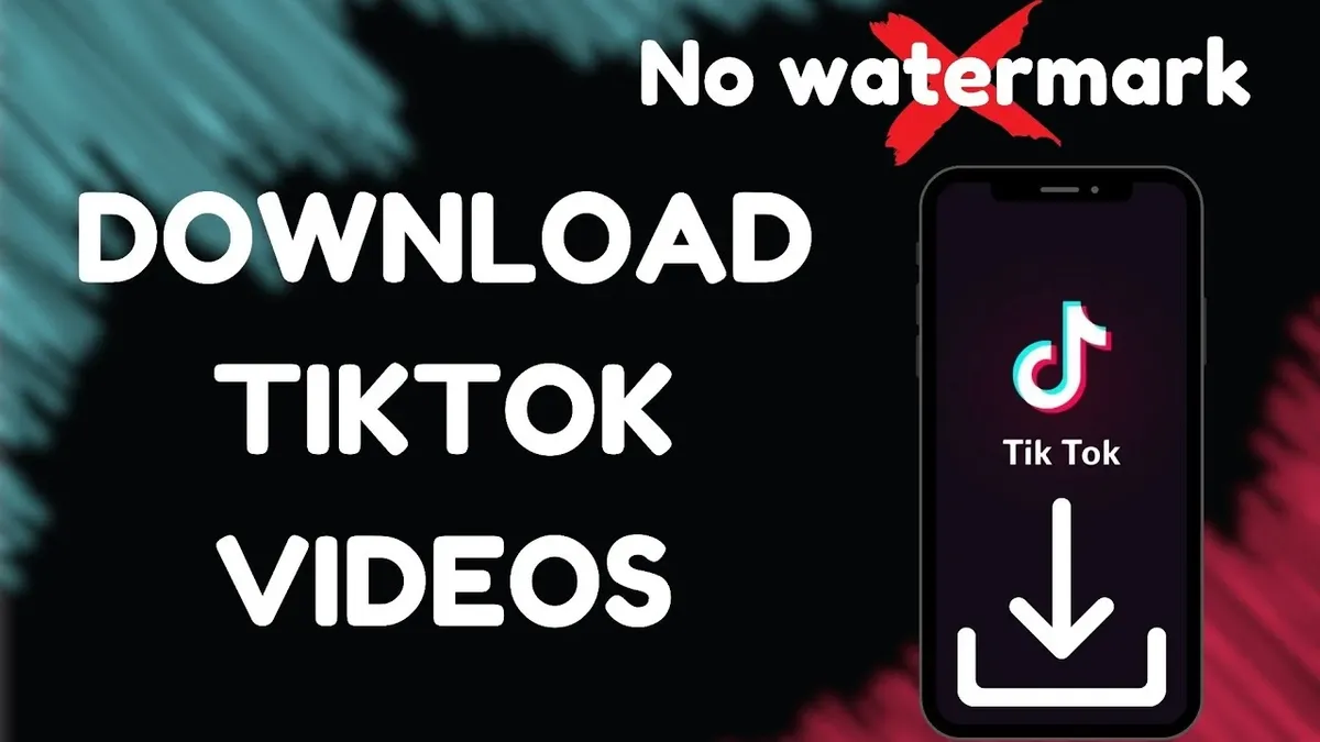 Download TikTok videos without watermark | TikTok Downloader