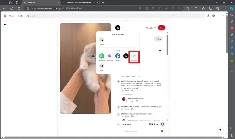 Tải video Pinterest chất lượng cao (Pinterest Video Downloader)