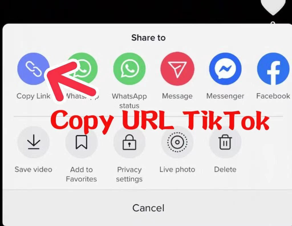Cách Tải Video TikTok Riêng Tư (Private Video) Nhanh Nhất 2025