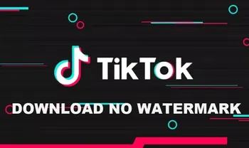 TikTok Downloader – Download TikTok Videos No Watermark (HD/4K)