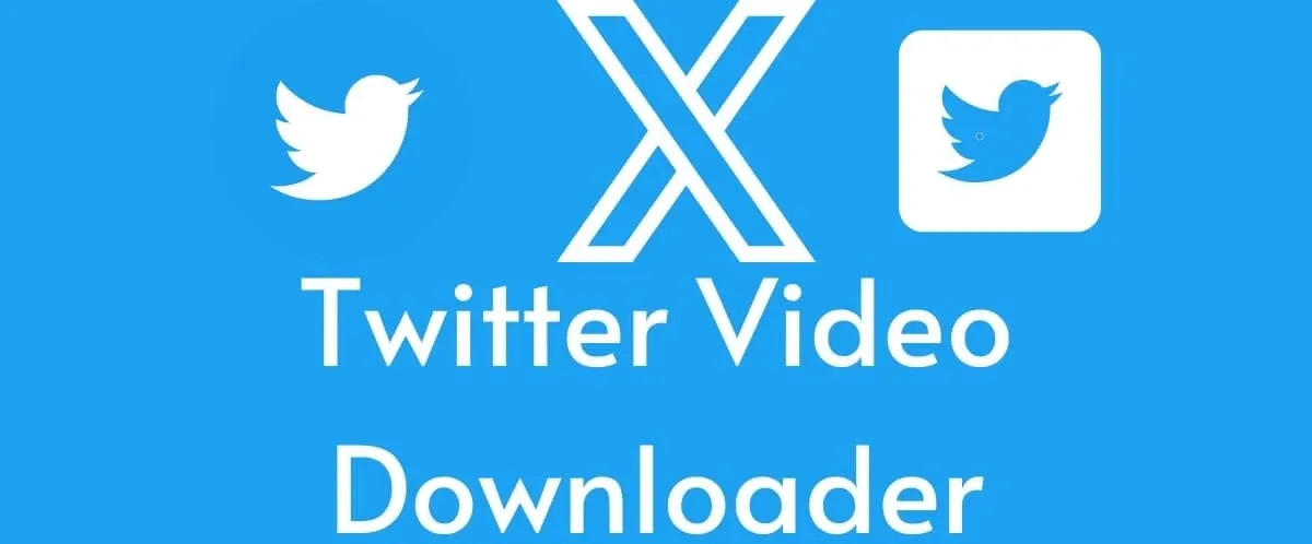 How to Download Twitter/X Videos from Public Links