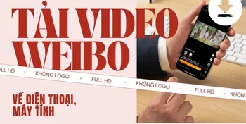 Cách tải video Weibo HD không logo về điện thoại & máy tính