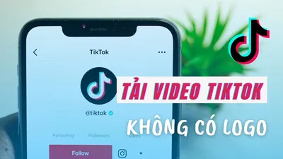 Cách tải video TikTok không watermark miễn phí, nhanh chóng 2025
