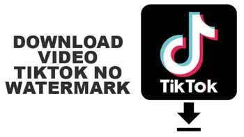 TikTok Video Downloader - Download TikTok Videos Online Free