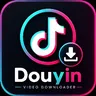 Douyin Video Downloader for Public Links