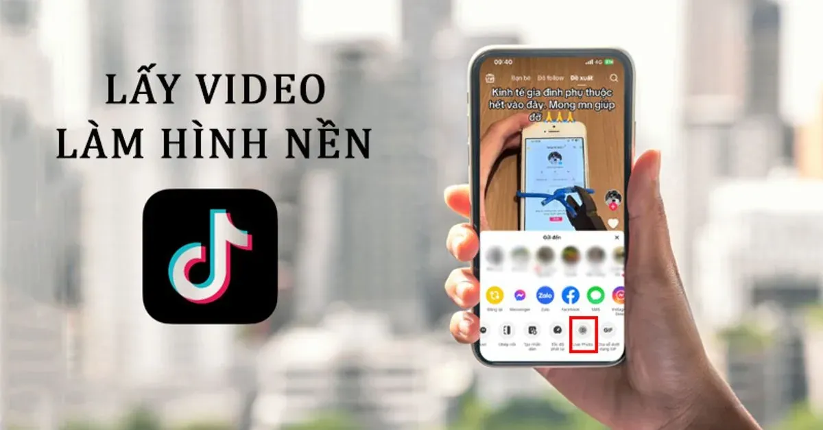 Cách chuẩn bị video làm hình nền điện thoại