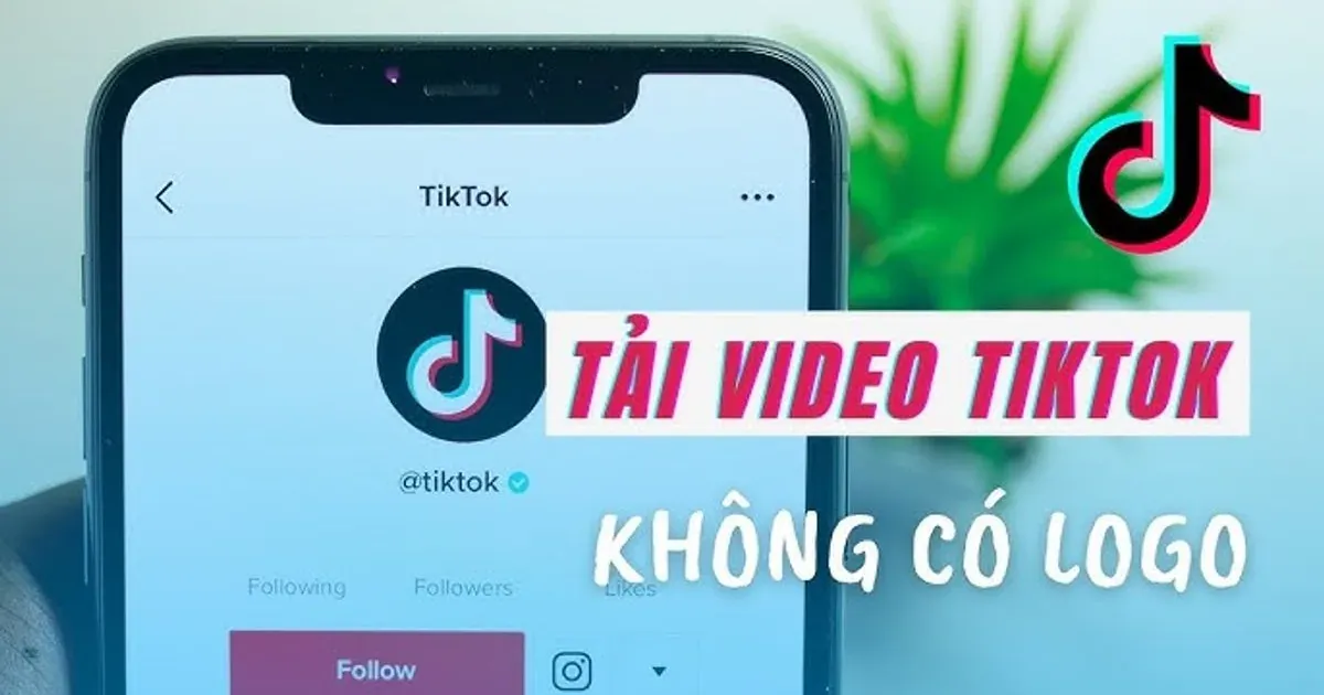 Cách sắp xếp và quản lý video TikTok đã lưu trên thiết bị